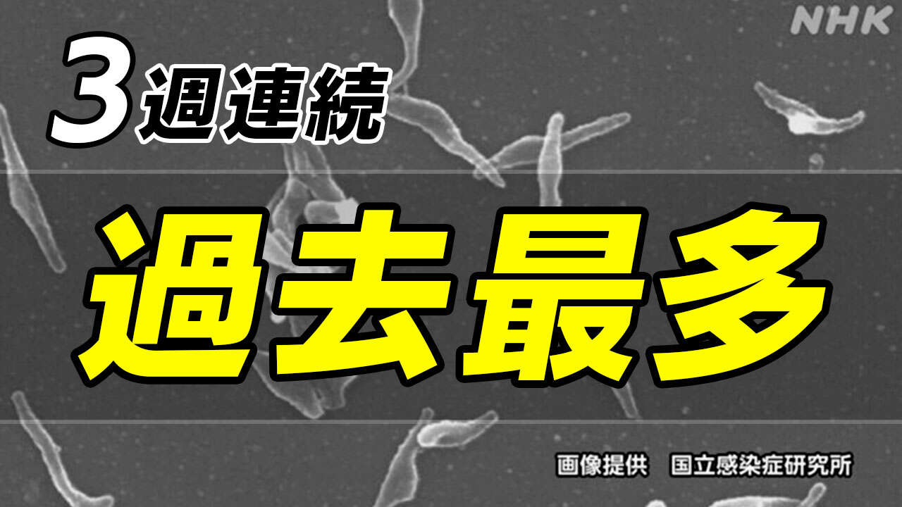 マイコプラズマ肺炎 3週連続過去最多 【都道府県別の状況は】