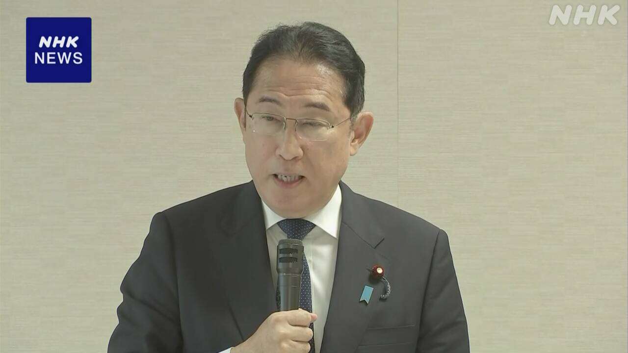 岸田首相“憲法に自衛隊明記は重要課題”今月中に論点整理指示