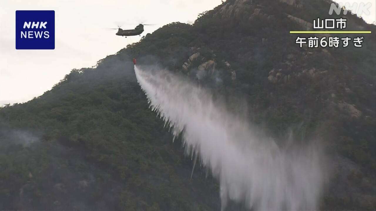 山口の山林火災 火の勢いは弱まる けさから消火活動再開