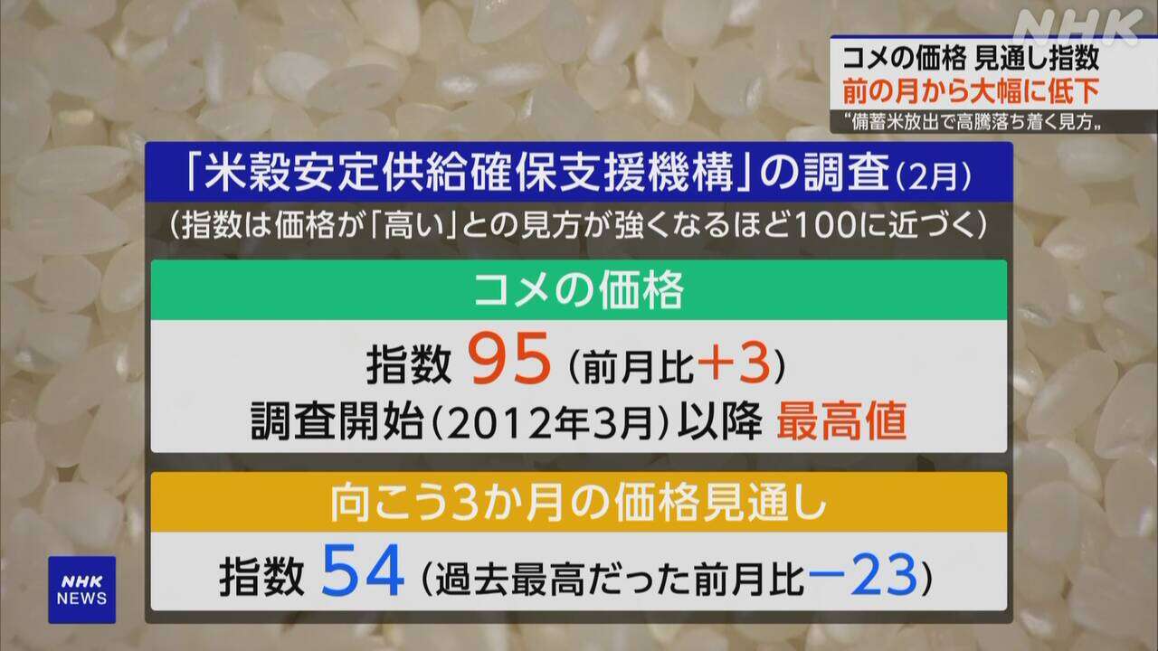 コメ価格見通しの指数 前月から大幅に低下 生産者などへの調査