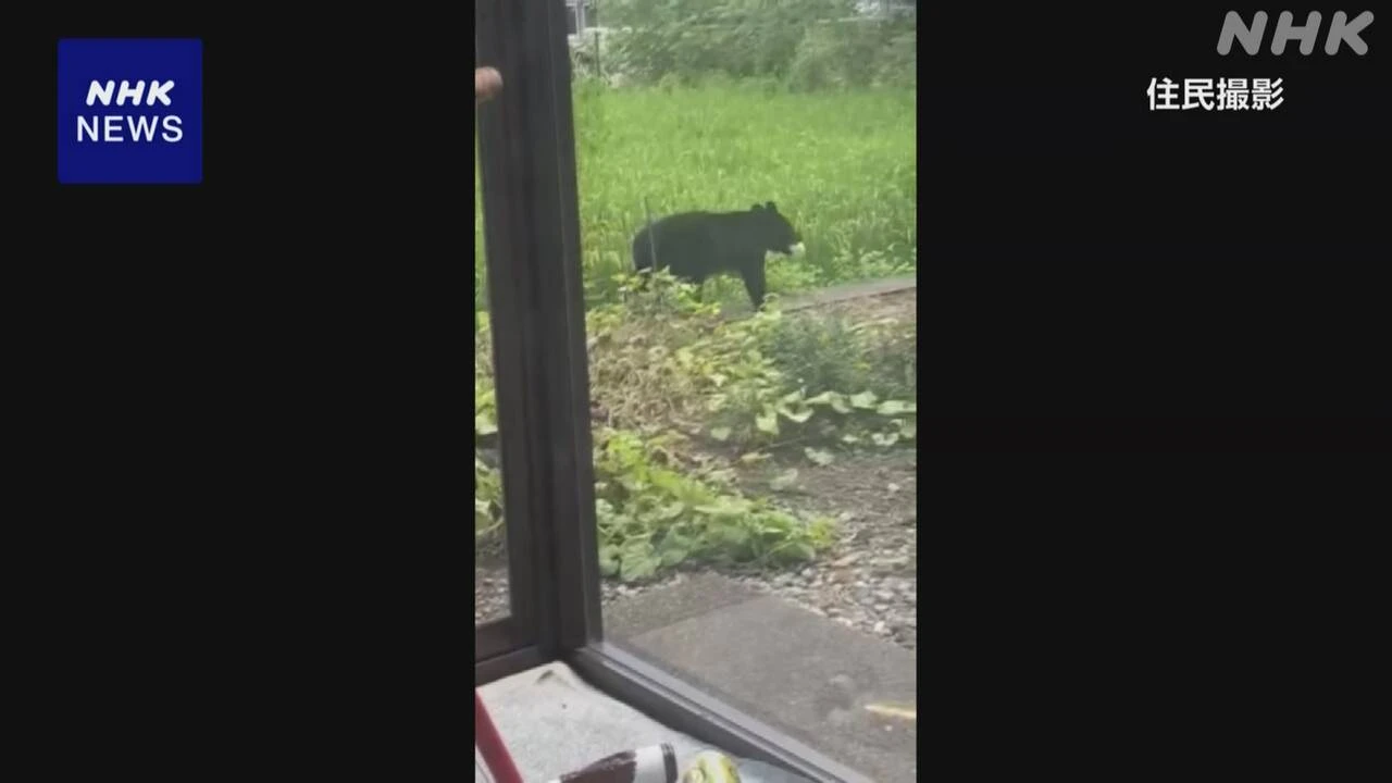 【動画】クマがメロンくわえて去る 岩手 矢巾町の住宅