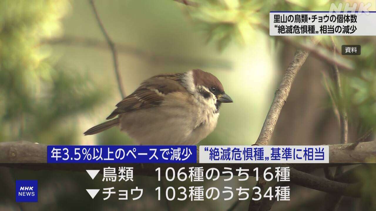 里山の鳥が急減 スズメなど16種が絶滅危惧種に 環境省など調査