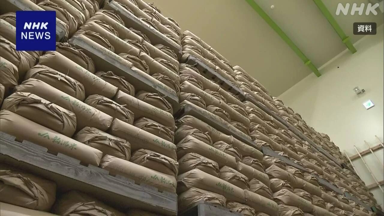 備蓄米 3月の落札分 消費現場への流通 1か月で全体の10％余