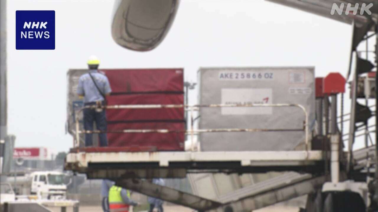 成田空港会社 作業員の事故など増 安全を専門に担う部署設置へ