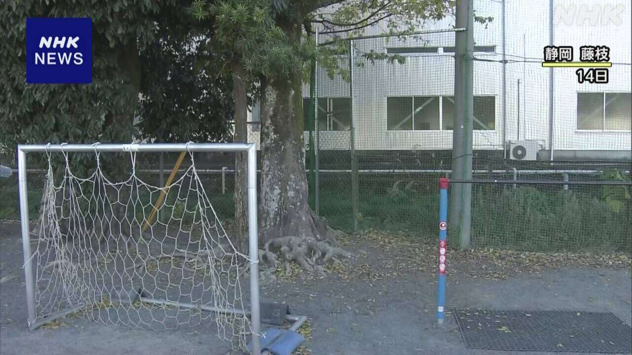 切断されたとみられる猫の頭部 小学校で見つかる 静岡 藤枝