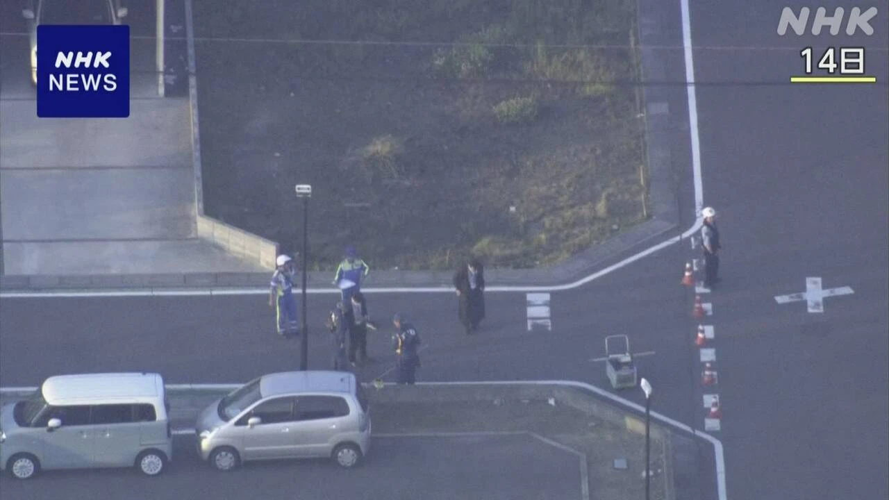 埼玉 三郷 小学生ひき逃げ事件 車の同乗者か 1人から事情聞く