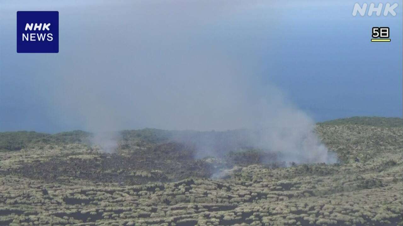 東京 伊豆大島「裏砂漠」の火事 ほぼ消し止められる