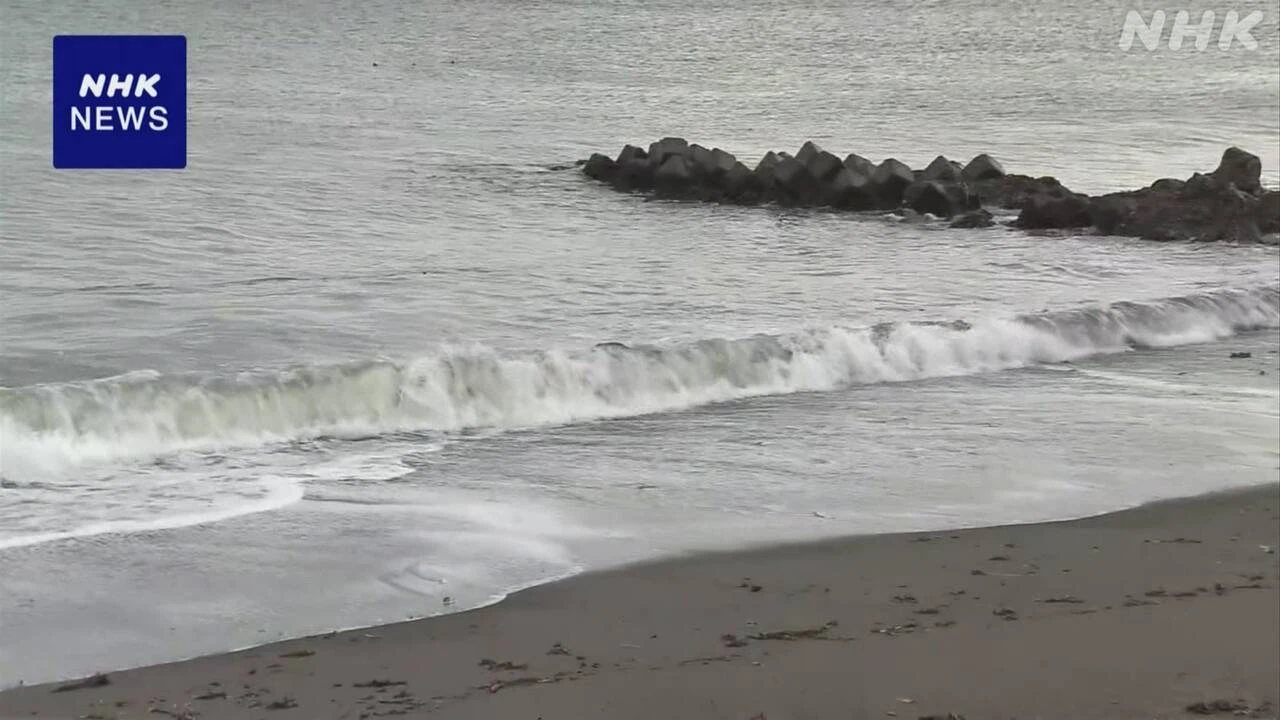 北海道 浜中町の海岸 死んだラッコから鳥インフル検出 国内初