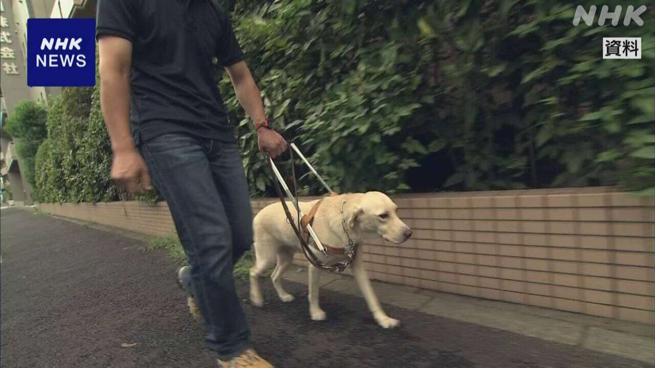 「犬はお断り」盲導犬ユーザーの半数近く 受け入れ拒否を経験