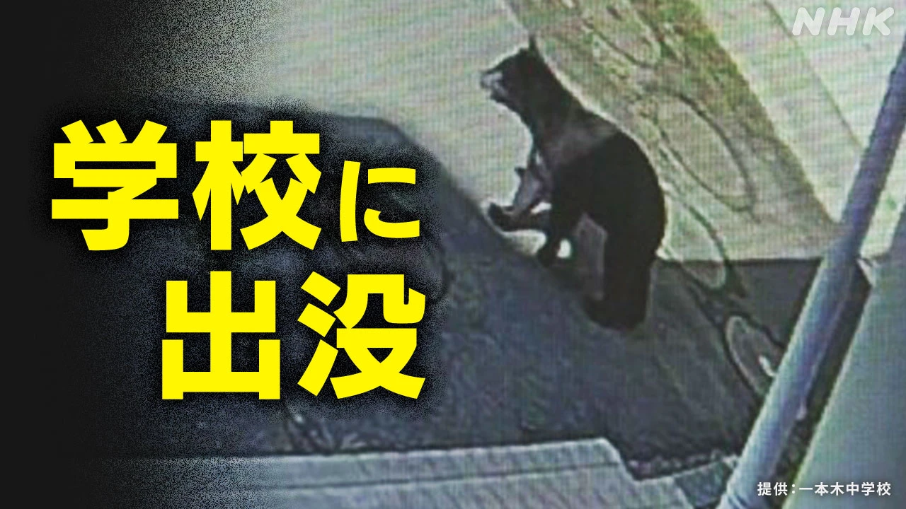 学校周辺でクマ出没相次ぐ 子どもたちを守るには【QAも】
