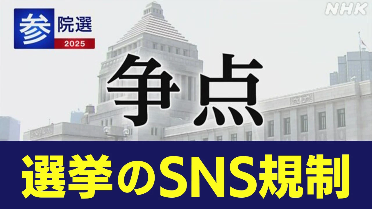 参院選 政党 政策アンケート 「選挙のSNS規制」