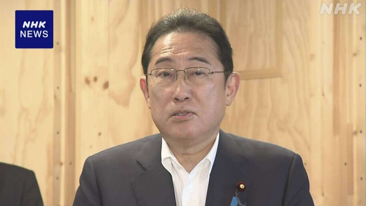 岸田首相 旧優生保護法違憲判断受け 全閣僚で対策推進本部創設