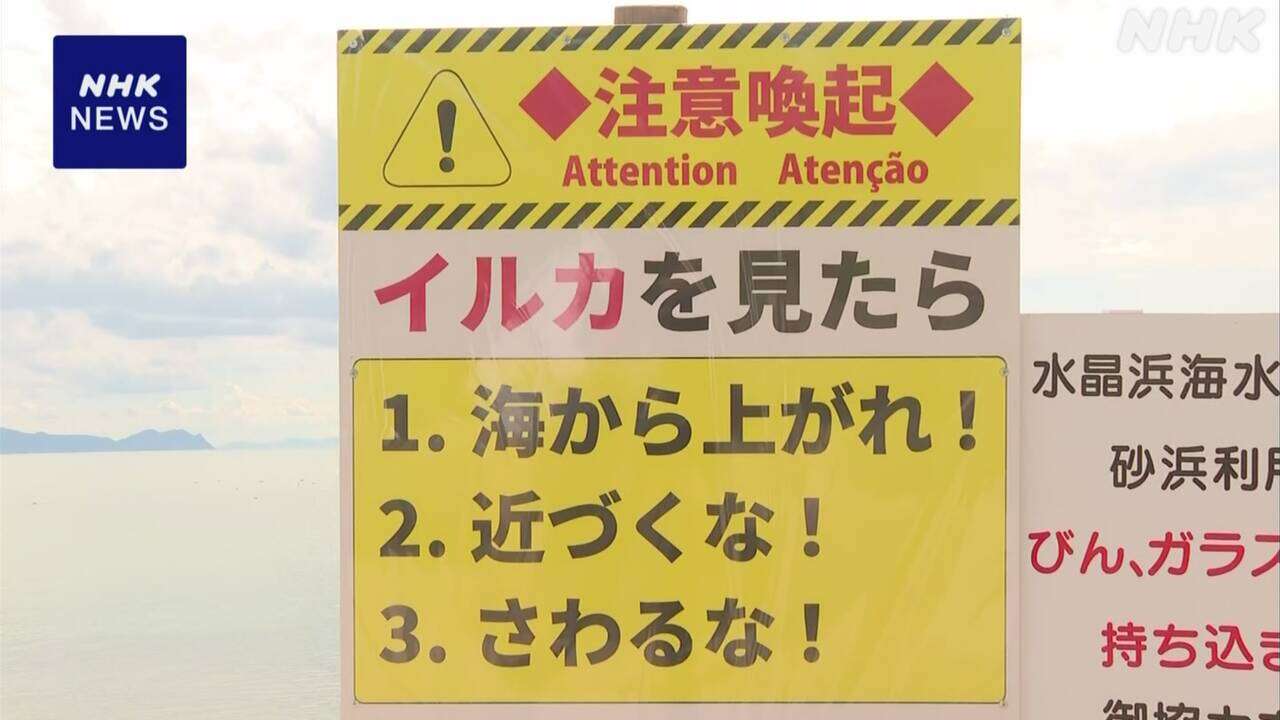 福井 美浜町 男性海水浴客が野生のイルカに手をかまれけが