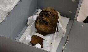 Archaeology: Secrets of decapitated mummy’s head found in Kent attic shown in CT scan