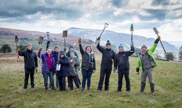 Charity set to finish planting 10,000 trees against climate change in anniversary woodland