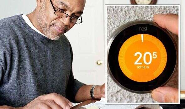 Energy crisis lifeline as smart devices to slash £460 off bills: ‘Wide appeal'