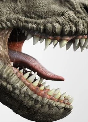 Science breakthrough after dinosaur discovery 'completely changes perception' of reptiles