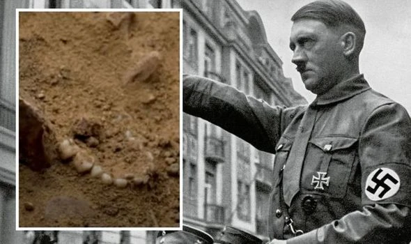 Archaeology: Mass grave uncovered that remained Nazi secret since Holocaust
