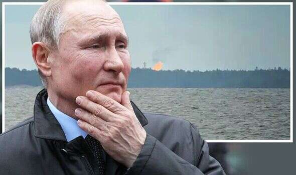 Putin accused of BURNING his own gas supply as his plot to blackmail Europe gets laid bare