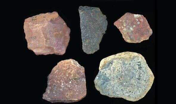 Oldest examples of ‘sophisticated’ stone tools found at 2.9-million-year-old butchery site