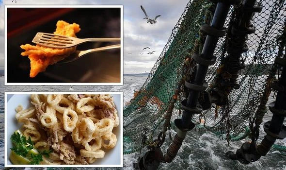 Fishing outrage! Brits told to avoid calamari and cod as UK waters face 'worrying future'