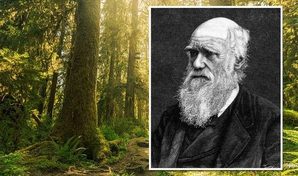 Charles Darwin's 150-year-old note could help scientists save world from climate crisis