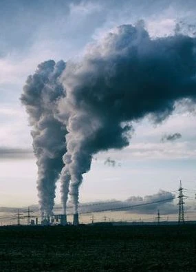 Carbon neutral map: Only TWO countries have hit net zero - but who?
