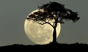 What time is the Full Moon tonight? Don't miss the last Supermoon of the year