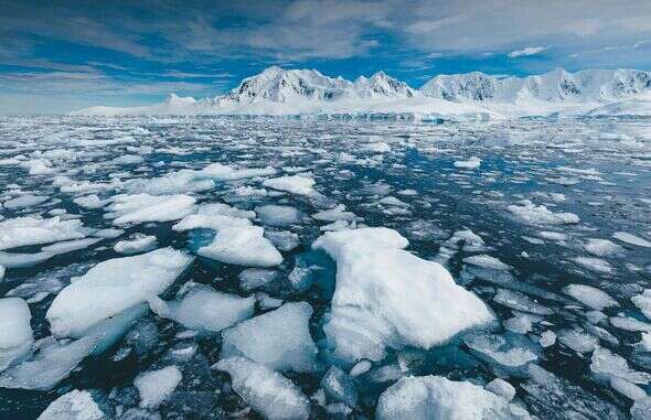 Antarctic sea ice melts to a record-smashing low, researchers report