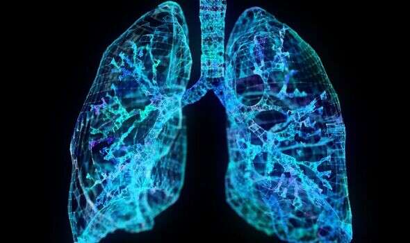 Personalised lung health risk scores enabled by UK-led genome study