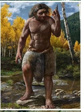 Archaeology breakthrough: 146,000-year-old fossil could be new human species