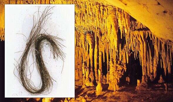 Hair sample lifts lid on ancient humans' bizarre drug-induced cave rituals