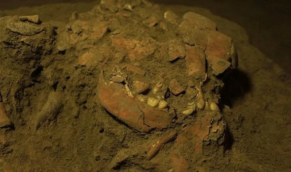 Archaeologists staggered as skeleton DNA uncovers unknown human group