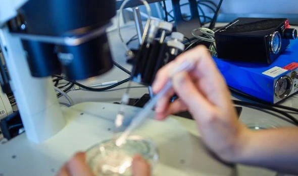 Parkinson's disease: 'Swiss army knife’ for gene editing could treat incurable illness