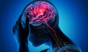 Brain breakthrough: Hope for millions as area identified that triggers anxiety 'freezing'