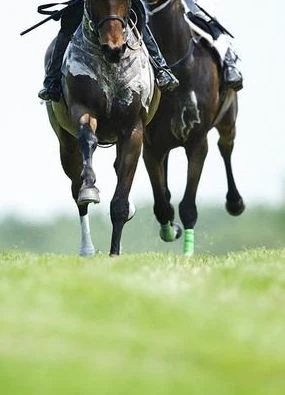 FREE £5 Online bet with MansionBet for new users with Saturday’s Daily Express