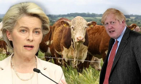 And they lectured us on standards! EU set to lift ban on grim farming method – leaked memo