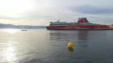 Pollution en Méditerranée : deux nappes d'hydrocarbures détectées au large de la Corse