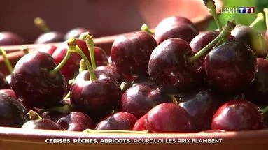 Cerises, pêches, abricots : pourquoi les prix flambent