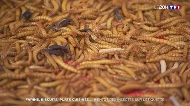 Alimentation : bientôt des 
