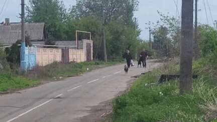 Guerre en Ukraine : à quelques kilomètres de la ligne de front, des villages ukrainiens sont désertés