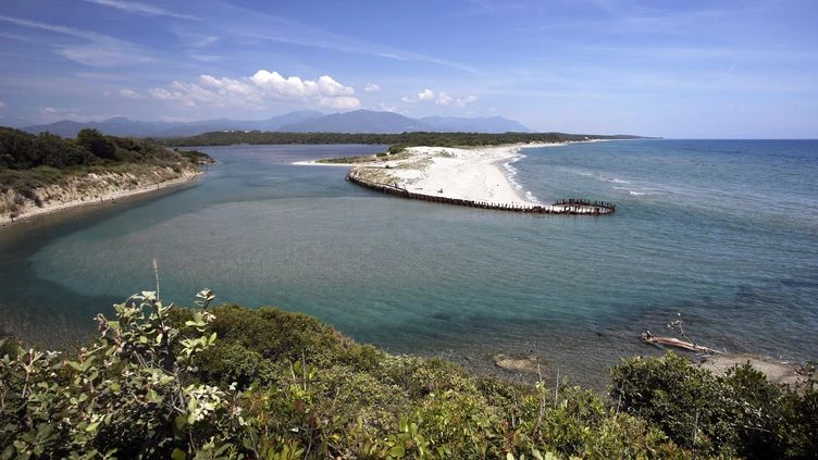 Pollution au large de la Corse : sur la piste des dégazages sauvages