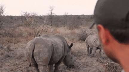 Afrique du Sud : rencontre avec Thibaud Cheminand, guide dans la réserve du Kruger