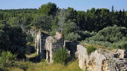 Journées européennes du patrimoine 2024 : 14 sites pour 14 régions à explorer à travers l'Hexagone et l'Outre-mer