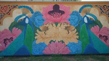 À Châteauroux, le street artiste Asu donne des couleurs florales aux murs d'une ancienne usine