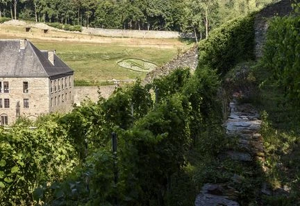 Réchauffement climatique et engouement pour le vin : la Belgique développe sa production vinicole