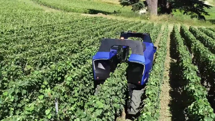 Un premier robot 100% autonome remplace l'homme dans les vignes de Provence