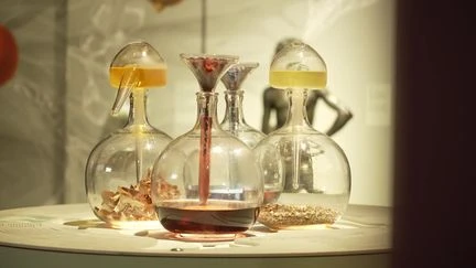 Léonard de Vinci, créateur de parfum : une facette méconnue du génie florentin à découvrir au Château du Clos Lucé