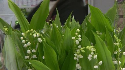 1er-Mai : les fleuristes demandent une dérogation pour faire travailler leurs employés