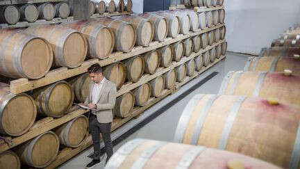 Les défis de la vigne et du vin : selon Jean Viard, 